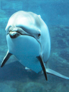 20110117_237shuusei.jpg