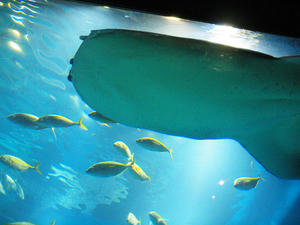 20110117_440shuusei.jpg