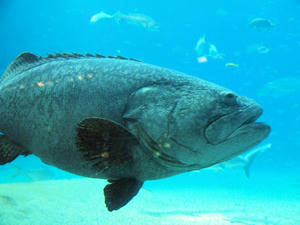20110117_460shuusei.jpg