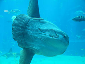 20110117_465shuusei.jpg