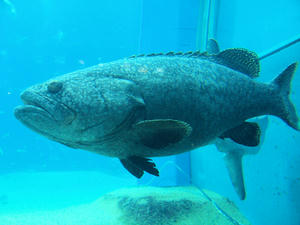 20110117_467shuusei.jpg