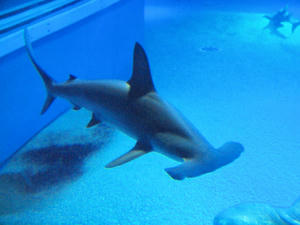 20110117_750shuusei.jpg