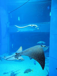 20110117_755shuusei.jpg