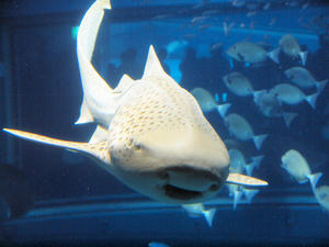 20110117_324shuusei.jpg