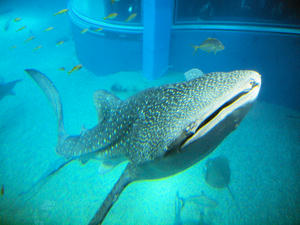 20110117_272shuusei.jpg