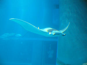 20110117_287shuusei.jpg