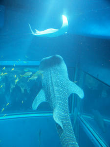 20110117_291shuusei.jpg