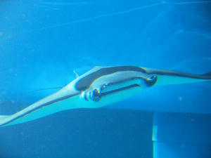 20110117_306shuusei.jpg