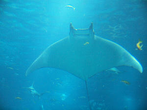20110117_412shuusei.jpg