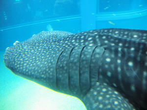 20110117_449shuusei.jpg