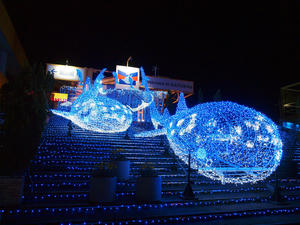 20110117_634shuusei.jpg