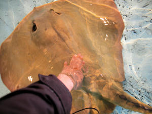 20110117_474shuusei.jpg