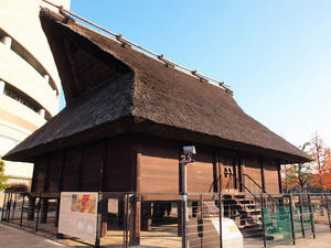 20110105_896shuusei.jpg