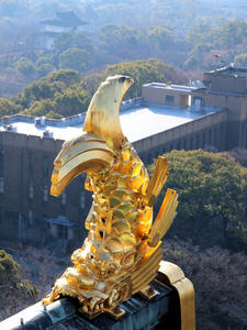 20110105_942shuusei.jpg