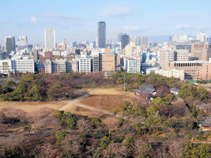 20110105_944shuusei.jpg