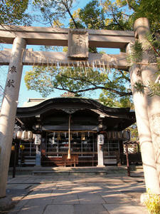 20110105_1012shuusei.jpg