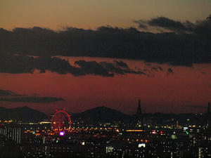 20110105_1402shuusei.jpg