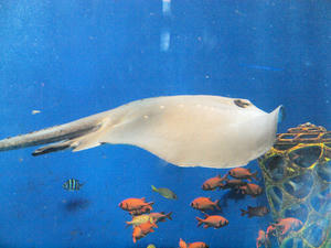20110213_323shuusei.jpg