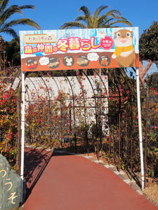 20110213_377shuusei.jpg