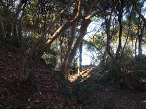 20110213_400shuusei.jpg