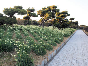 20110213_492shuusei.jpg