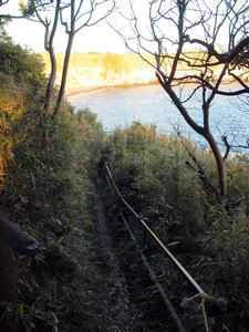 20110213_505shuusei.jpg