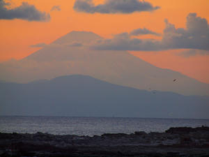 20110213_591shuusei.jpg