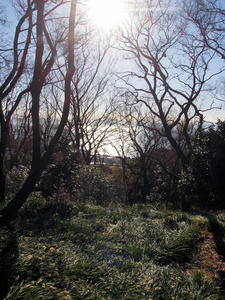 20110221_5shuusei.jpg