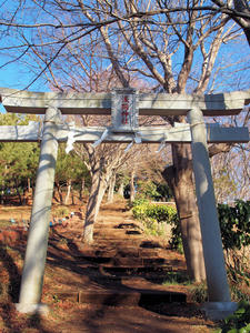 20110221_8shuusei.jpg