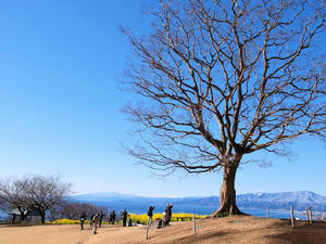 20110221_15shuusei.jpg