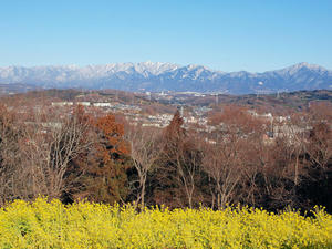 20110221_50shuusei.jpg