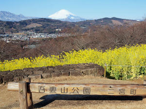 20110221_36shuusei.jpg