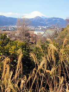 20110221_163shuusei.jpg
