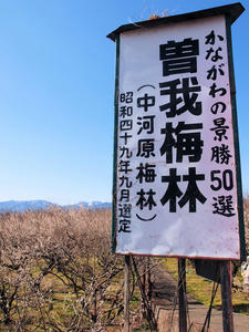 20110221_82shuusei.jpg