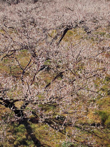 20110221_81shuusei.jpg