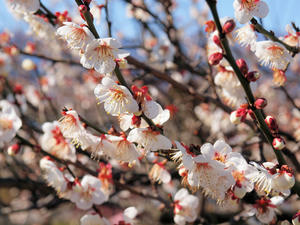 20110221_80shuuusei.jpg