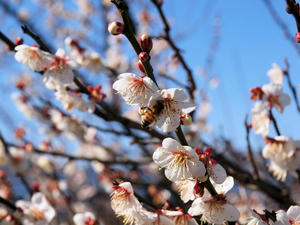 20110221_78shuusei.jpg