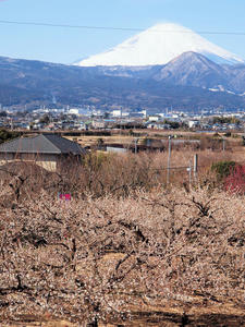 20110221_86shuusei.jpg