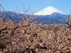 20110221_88shuusei.jpg