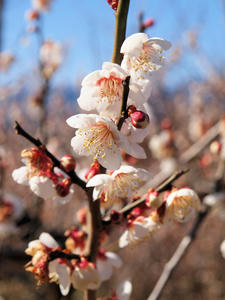 20110221_93shuusei.jpg