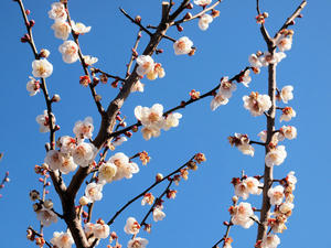 20110221_95shuusei.jpg