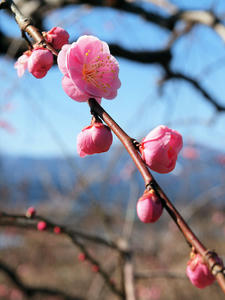 20110221_101shuusei.jpg