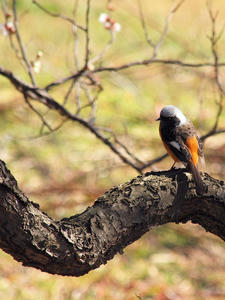 20110221_122shuusei.jpg