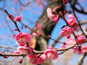 20110221_139shuusei.jpg
