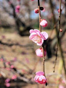 20110221_157shuusei.jpg