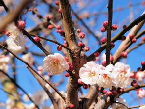 20110221_160shuusei.jpg