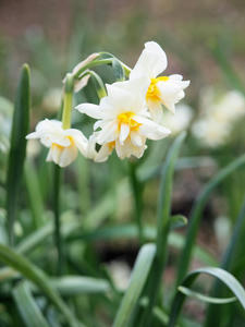 20110221_740shuusei.jpg