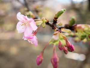 20110221_738shuusei.jpg