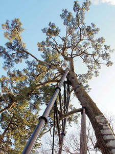 20110221_742shuusei.jpg