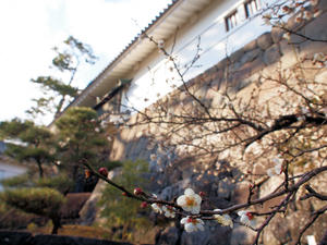 20110221_744shuusei.jpg